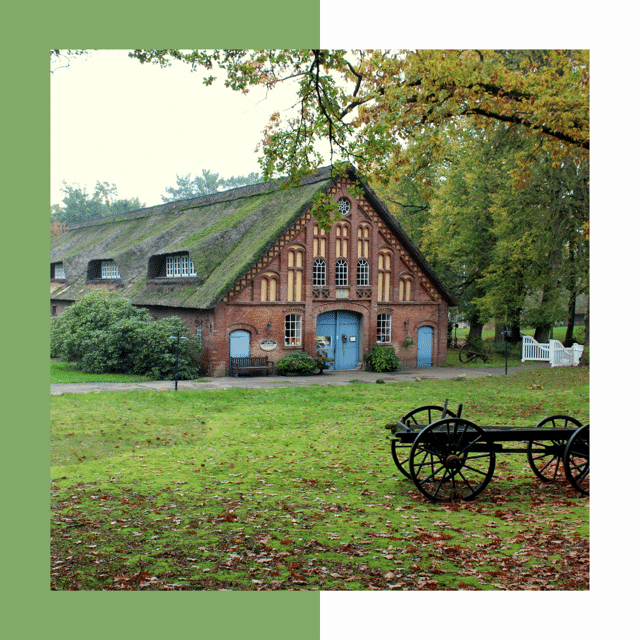 5 Qualities of a Successful Homesteader