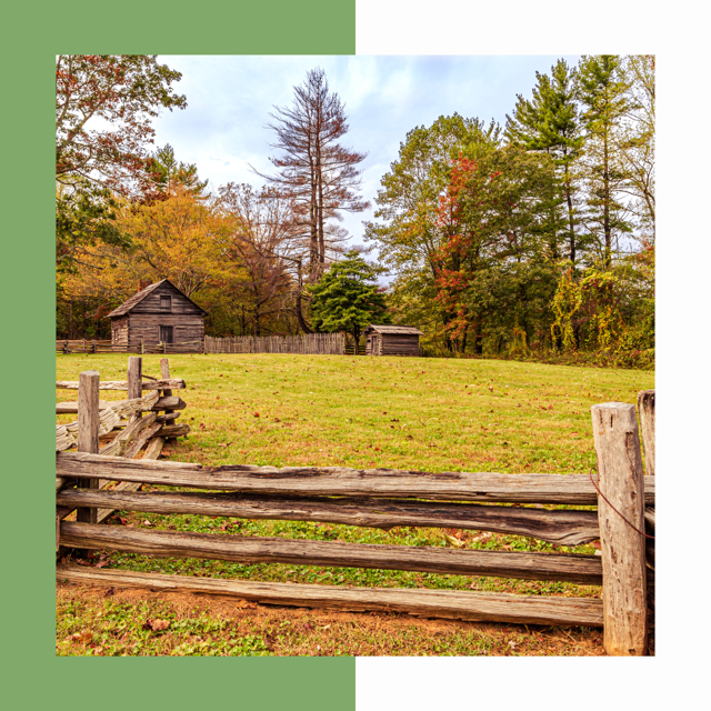 5 Qualities of a Successful Homesteader